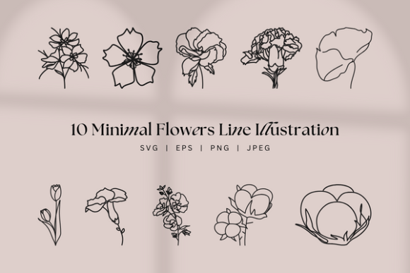 Download Clean Minimal Botanical Floral Lineart - Minimal Collection