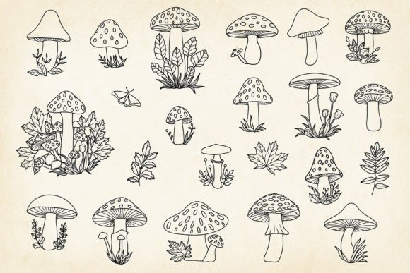 Download Hand-drawn Mushrooms Minimalist Art Set - Minimal Collection